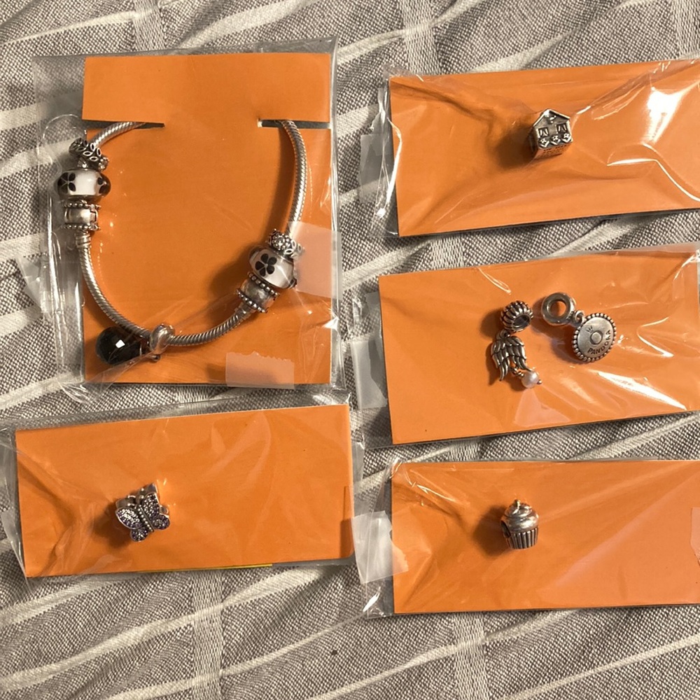 Pandora bracelet with charms